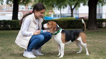 A girl leash the dog